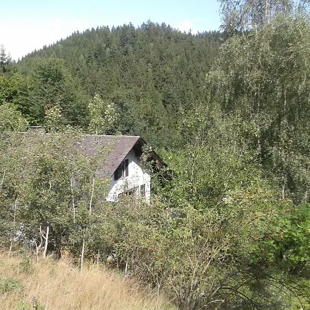 Elf Echte Elfen * Wilhelmsthal