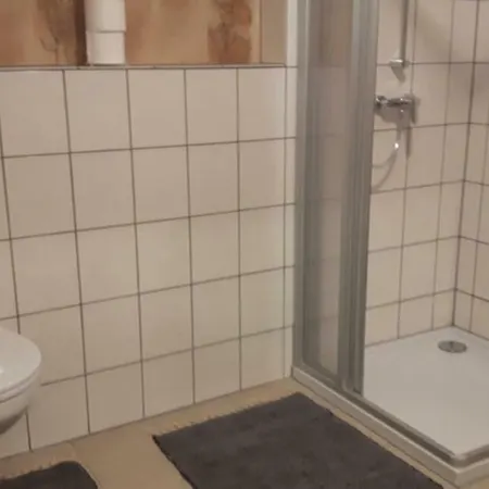 Elf Echte Elfen *