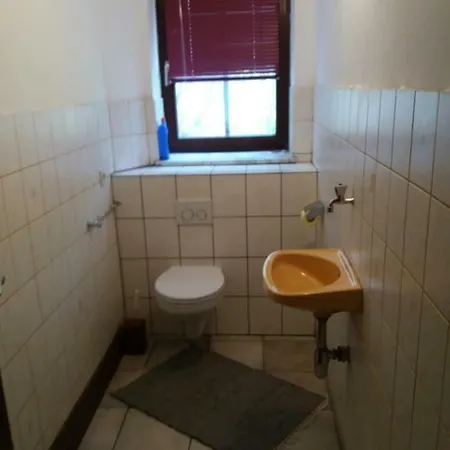 Elf Echte Elfen *
