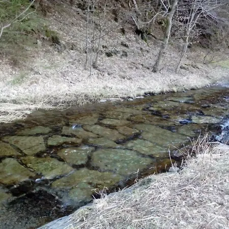 Elf Echte Elfen Prázdninový dům *